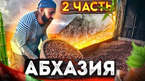 Абхазия | 2часть | Орехи "Фундук" |  Море | Киви | Бамбук