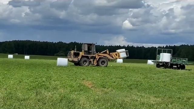 Вывоз рулонов сенажа [ АМКОДОР 332С ] смотреть онлайн