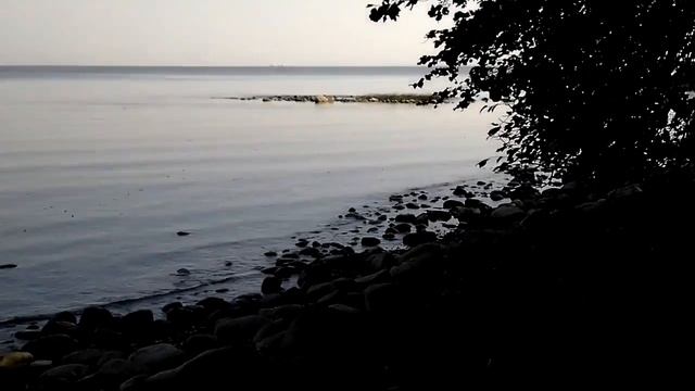 Финский залив Петергоф