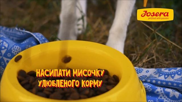 Пікнік з Josera смотреть онлайн
