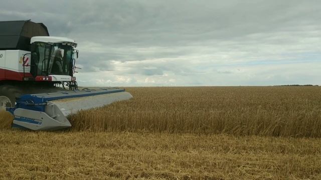 Очёсывающая жатка. смотреть онлайн