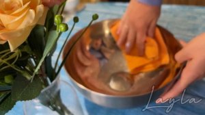 Совсем скоро начнется клубничный сезон 😉 будем делать мороженое 🥰 
#мороженое #рецепт #клубничное