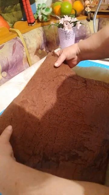 #Shorts/ШОКОЛАДНЫЙ РУЛЕТ/ГОСТИ НА ПОРОГЕ/chocolate Roll/@ВКУСНАЯ КУХНЯ. АЛЛА КОРБУТ