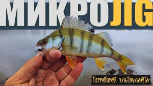 ОСЕННЯЯ ГОРОДСКАЯ РЫБАЛКА НА ОБИ ► МИКРОДЖИГ