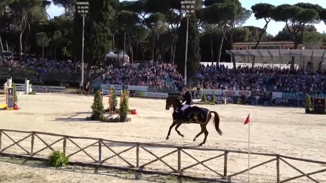 Roma: Piazza di Siena 2013 смотреть онлайн