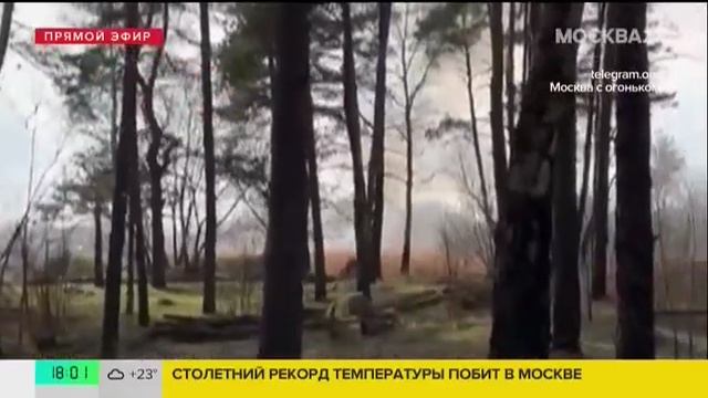 Москва 24, Москва, 18 апреля 2025
Пал травы в Кузьминском лесопарке Москвы смотреть онлайн
