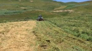 Трактор Беларус в Поле с Роторам | год 2019