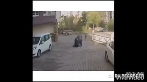 Нападение собаки на ребенка