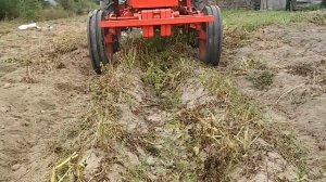 Т-25 копает картошку