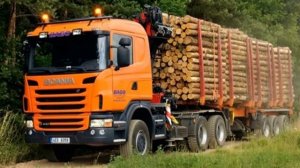 Изучаем транспорт  Обучающее видео для мальчиков