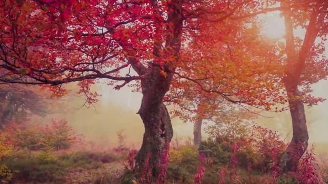 Enigma - The Rivers Of Belief КЛИП