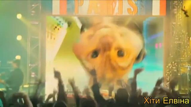 Двигаться бурундуки