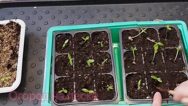 Мелочи для дома: уютные атмосфоры 