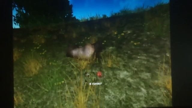 По секрету черного медведя я не убил но убил 2 безонов смотреть онлайн