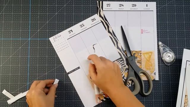 Plan With Me Birthday Girl | Classic Happy Planner | Zebra Print | DIY Free Planner Stickers