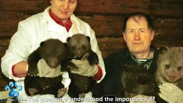 A Tree Fell On the Den the Female Bear was Frightened and Ran Away, and the Blind Cubs were Left Al смотреть онлайн