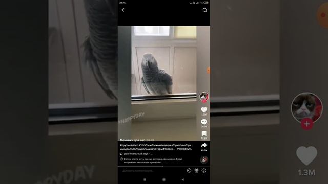 Я РЖУ 3 ЧАСА ЗАСМЕЯЛСЯ С ТЕБЯ ЛАЙК И ПОДПИСКА смотреть онлайн
