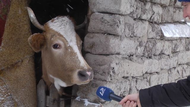 Квита. 12 лет. Саврань смотреть онлайн