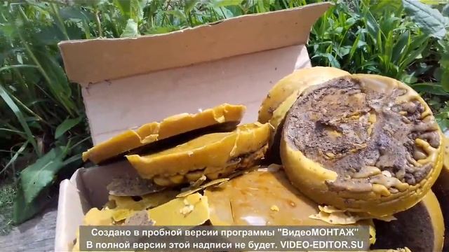 Перетопка бжолиного воску. Перетопка воска Самый простой и дешёвый способ смотреть онлайн