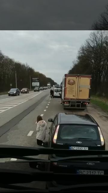 Дресированные нерабы смотреть онлайн