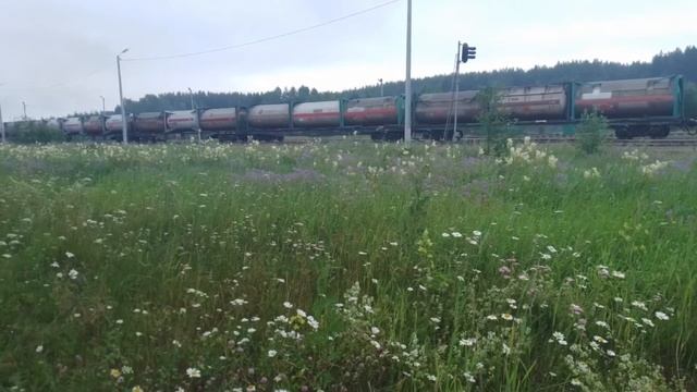 2тэ116-1636 с грузовым поездом отправляется со станции Ивдель 1 на Приобье с 4 пути смотреть онлайн