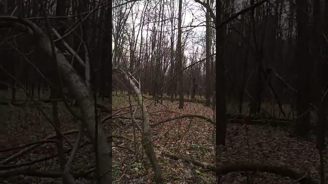 3 привал по дороге на реку Сим 20 г.