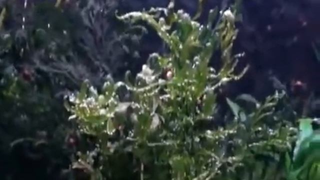 Cretu & Thiers  Waterfall