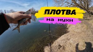 #мормышинг | Ловля плотвы на мушки |