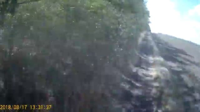 Аренда Питбайков смотреть онлайн