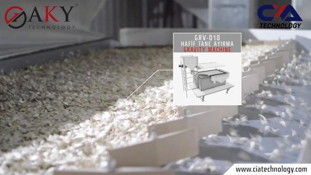 Машини за почистване на тиквено семе  