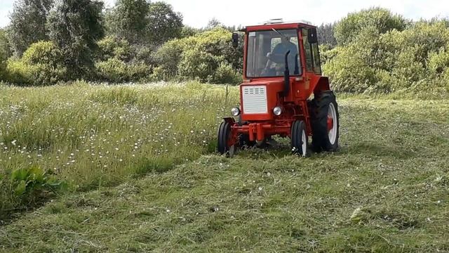 Покос травы роторной косилкой 2019 год смотреть онлайн