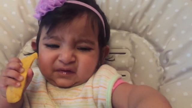 Baby led weaning: mango slices смотреть онлайн