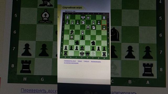 БЛИЦ ГАМБИТ ШАХ И МАТ ШАХМАТЫ CHESS смотреть онлайн