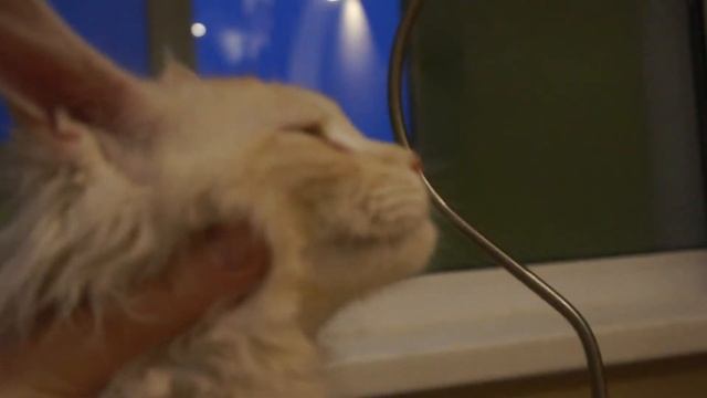 Just King NoBabyGlare, profile 4 months смотреть онлайн
