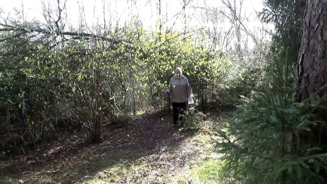 Снова замерло все до рассвета. Поет Тамара Скобелева. смотреть онлайн