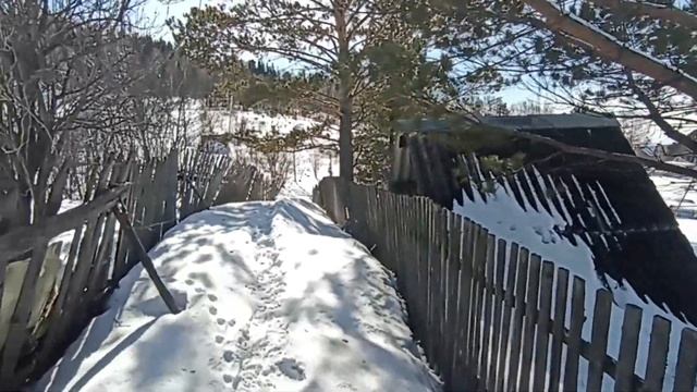 Влог 11.03.23 Апанас Целый день на даче За водой в колодец Замёрзла дверь в подвале Новокузнецк смотреть онлайн