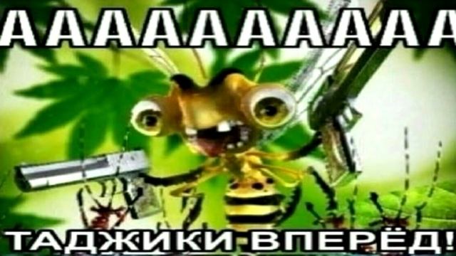 тик ток стал таджиком смотреть онлайн
