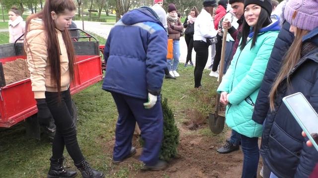 Посадка аллеи медколледжа. День здоровья. смотреть онлайн