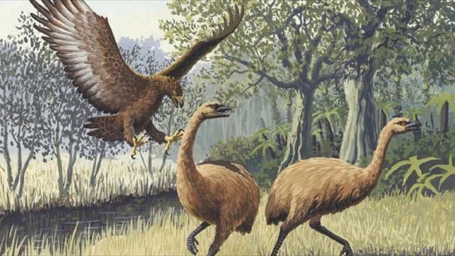 5 ANIMAUX PREHISTORIQUES TERRIFIANTS ! смотреть онлайн