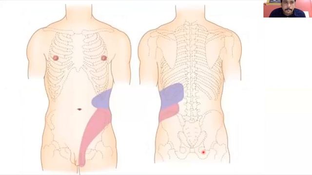 RACHANA SANGAMAM : SESSION 1 : CLASS 1 : Dr. Sharath S G : Anatomy of Urinary System смотреть онлайн