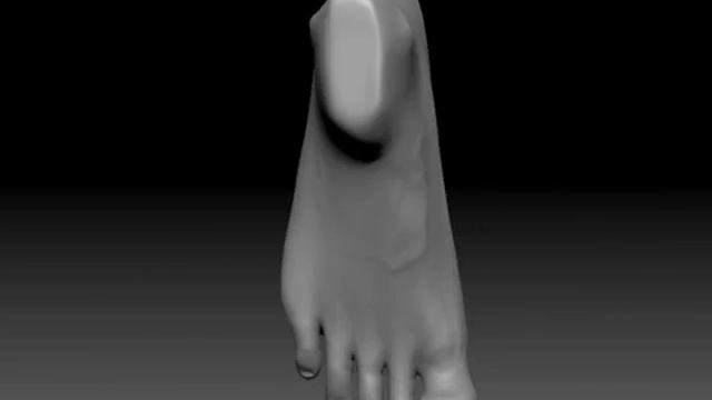 quantm_project5 - Zbrush - Foot смотреть онлайн