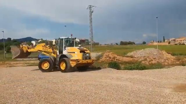 LIEBHERR L524
