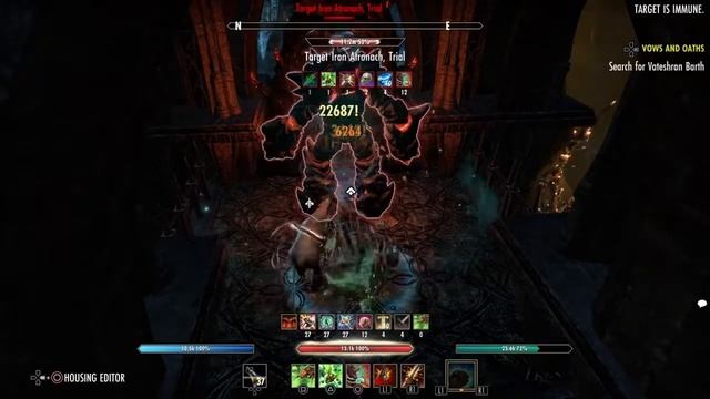 ESO - 91k Stamina Warden