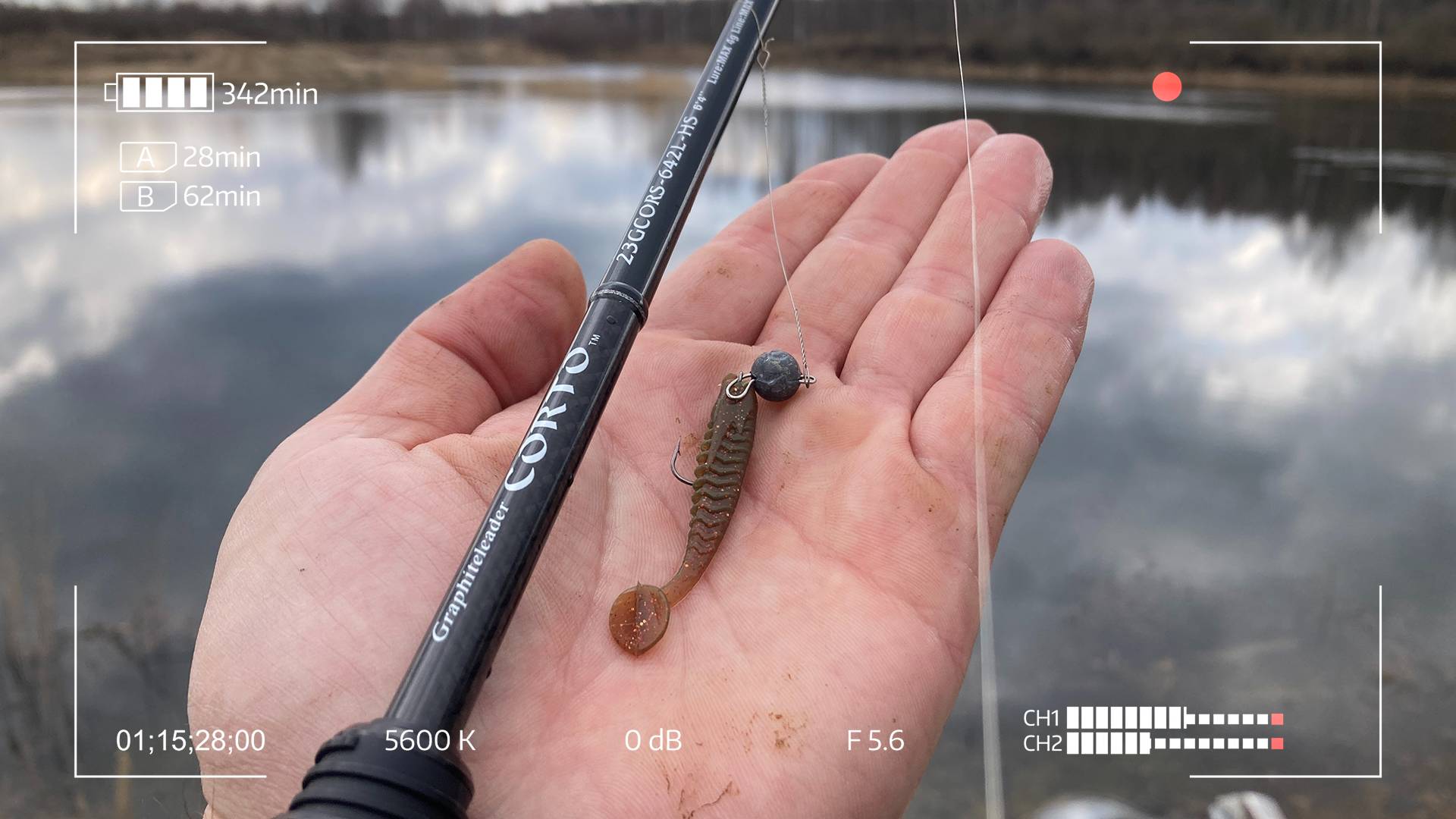 Они не дают проходу этому маленькому виброхвостику! смотреть онлайн