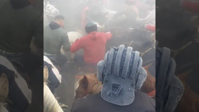 бузкаши далийон деваштич рахимберди бо аспи разбой 12 02 22 🇹🇯🇺🇿🇰🇿🇰🇬🐎👍