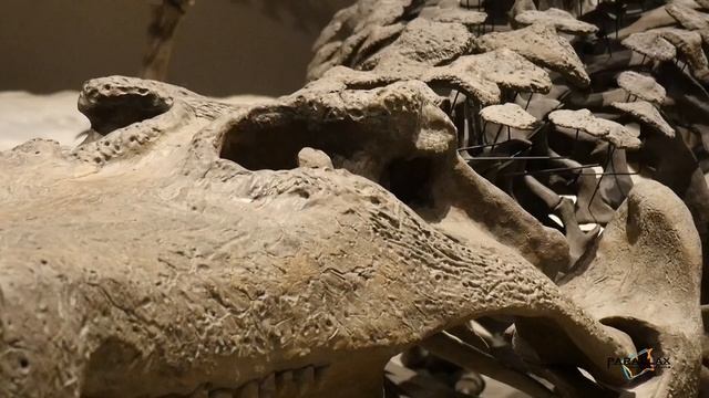 Deinosuchus, a Terror of a Gator смотреть онлайн