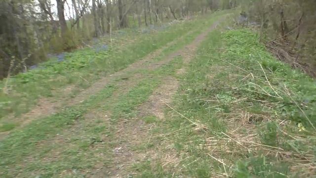 Один из майских дней на даче