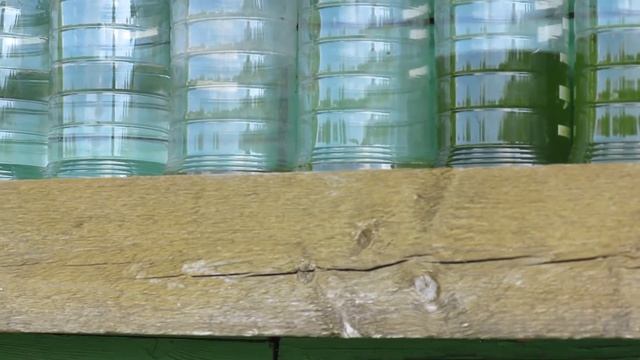 Хлорелла перезимовала