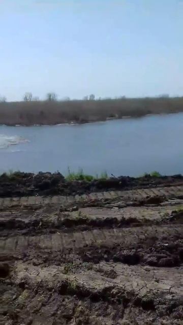 Днепропетровская обл. Васильковка. Речка Волчья смотреть онлайн