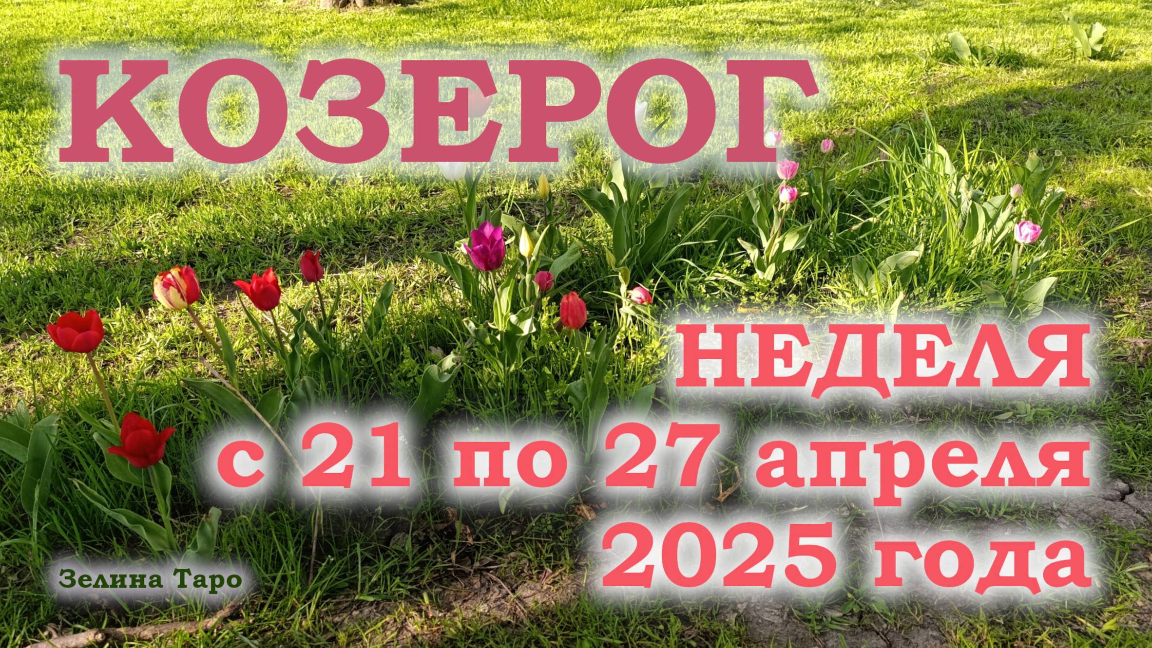 КОЗЕРОГ | ТАРО прогноз на неделю с 21 по 27 апреля 2025 года